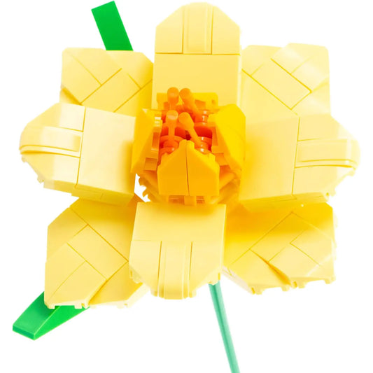 Nice Flower Mattoncini Narciso