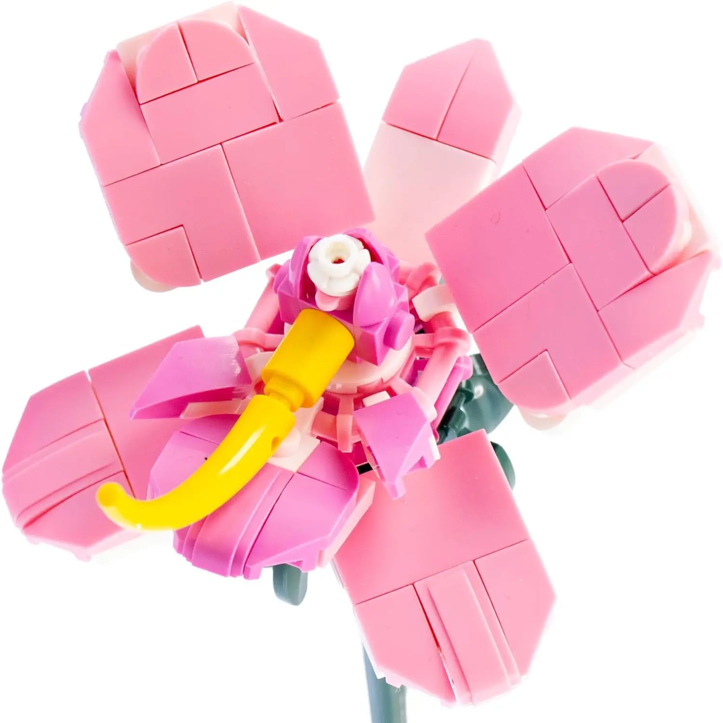 Nice Flower Mattoncini Orchidea