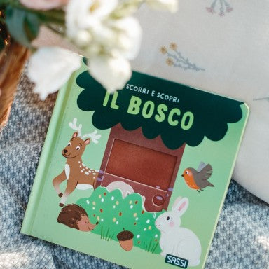 Sassi Scorri e Scopri - Il Bosco