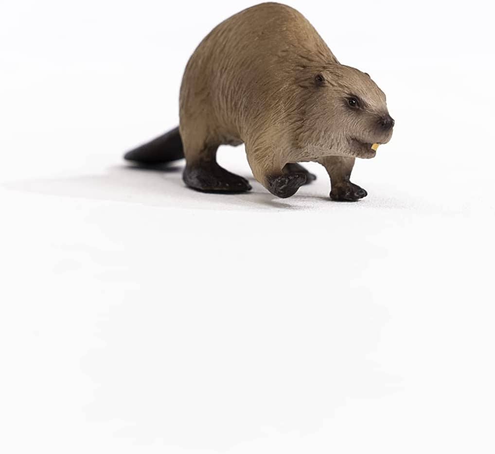 Beaver Schleich toysvaldichiana.it 