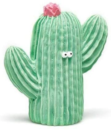 Cactus Fiorito Verde toysvaldichiana.it 