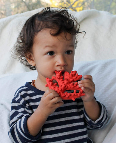 Corallo Rosso toysvaldichiana.it 
