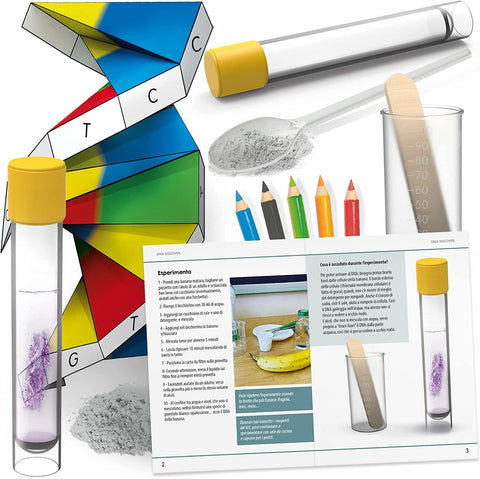 Dna Discover Headu toysvaldichiana.it 