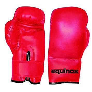 Equinox - Set boxe junior PRO sacco boxe kg 6 con guanti 6 oz. - toysvaldichiana.it