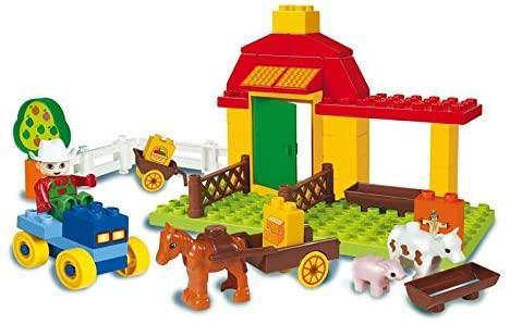 Fattoria Piccola Nuova toysvaldichiana.it 