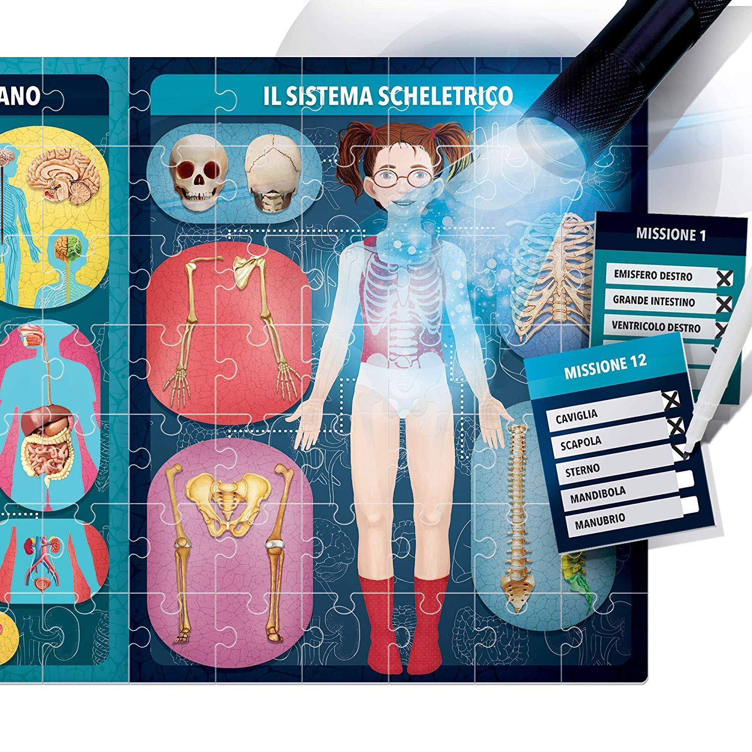 IL CORPO UMANO A RAGGI - toysvaldichiana.it