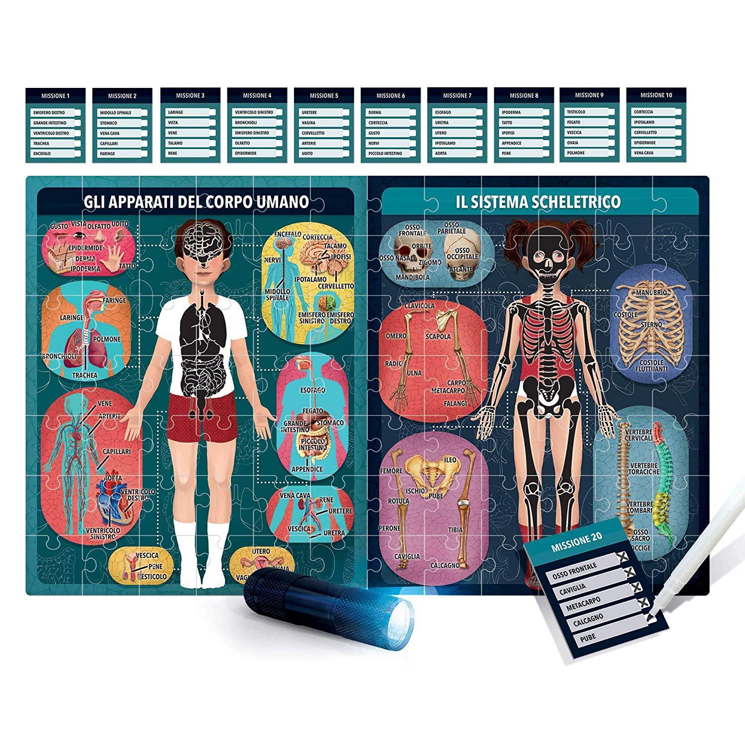 IL CORPO UMANO A RAGGI - toysvaldichiana.it