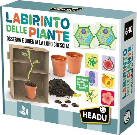 Labirinto Delle Piante Headu toysvaldichiana.it 
