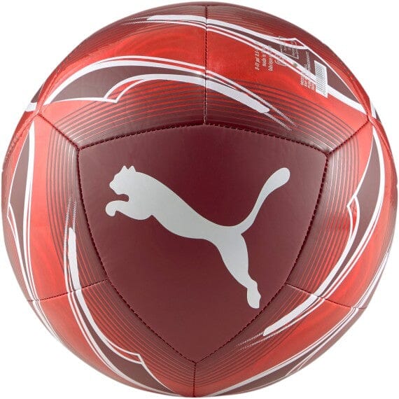 Pallone Puma Icon toysvaldichiana.it 