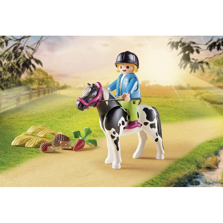 PLAYMOBIL COUNTRY Horse World - Carrozza con pony toysvaldichianasrl 