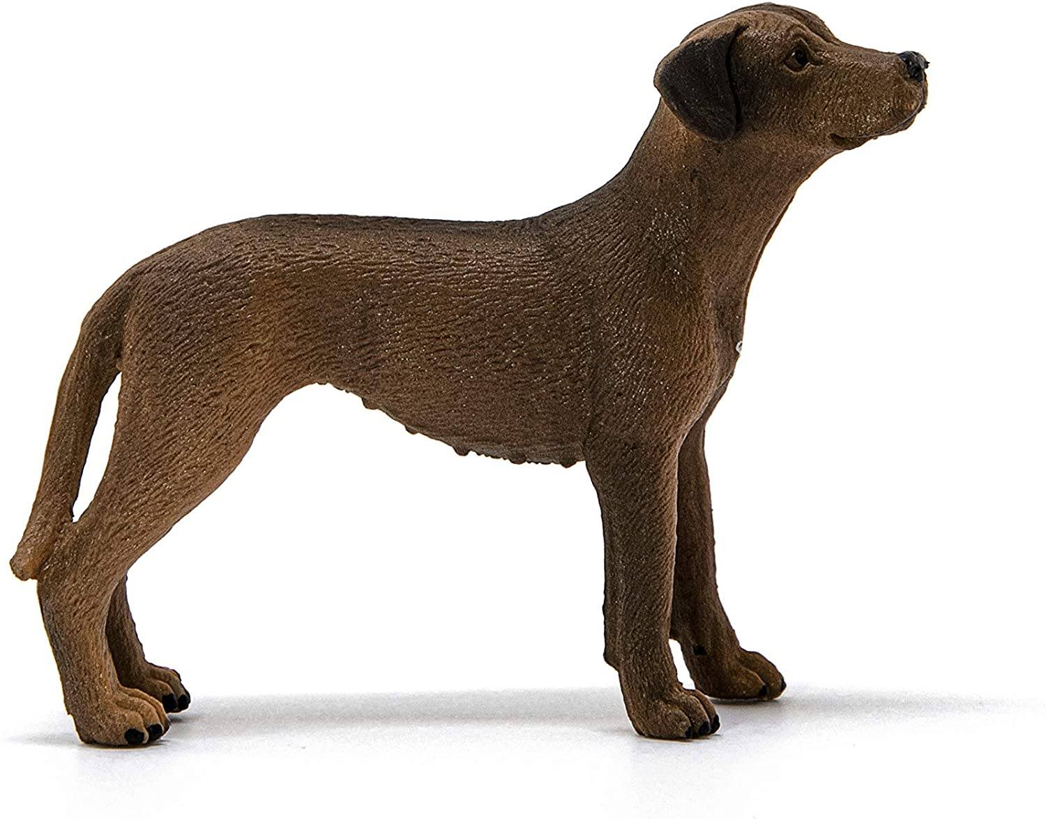 Rhodesian Ridgeback Schleich toysvaldichiana.it 