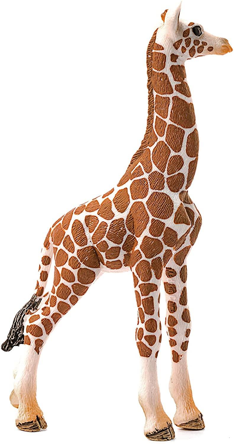 Schleich Cucciolo Di Giraffa toysvaldichiana.it 
