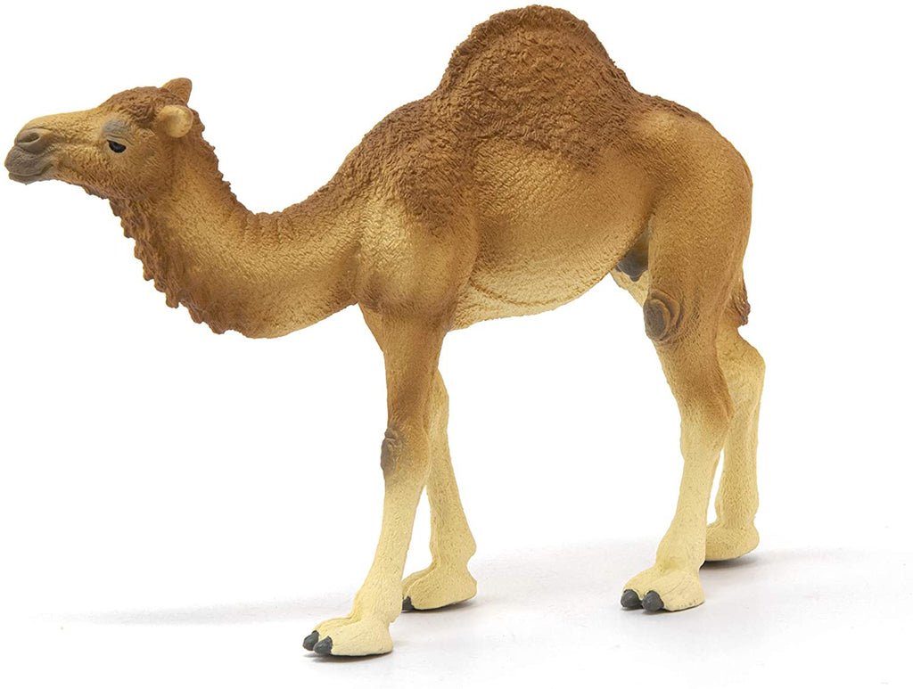 Schleich Dromedario toysvaldichiana.it 