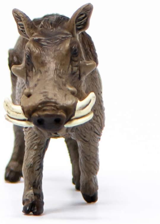 Schleich Facocero toysvaldichiana.it 