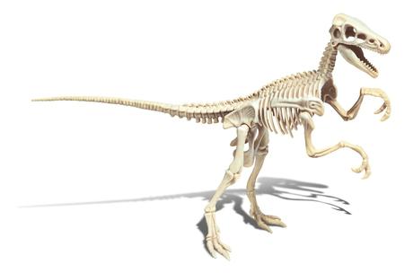 Velociraptor - 19144 Clementoni dinosauri - toysvaldichiana.it